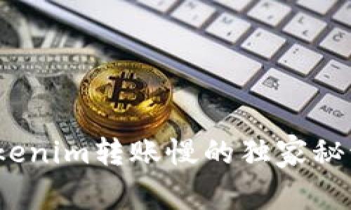 专家分享：Tokenim转账慢的独家秘诀与解决方案