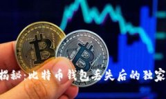 专家揭秘：比特币钱包丢