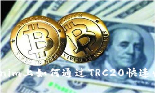 专家揭秘：Tokenim上如何通过TRC20快速收款的独家秘诀