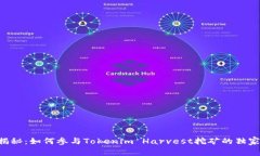 专家揭秘：如何参与Toke