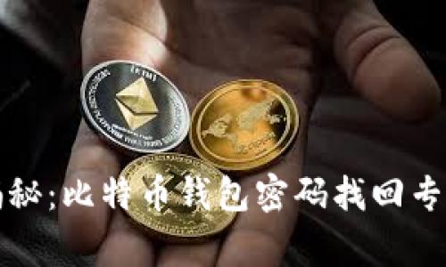 独家揭秘：比特币钱包密码找回专家秘诀