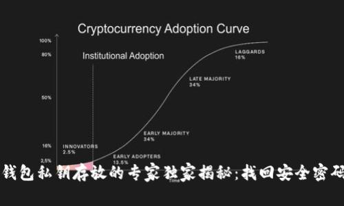 区块链钱包私钥存放的专家独家揭秘：找回安全密码的秘诀