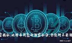 专家揭秘：比特币钱包的