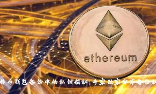 比特币钱包备份中的私钥揭秘：专家独家分享备份秘诀