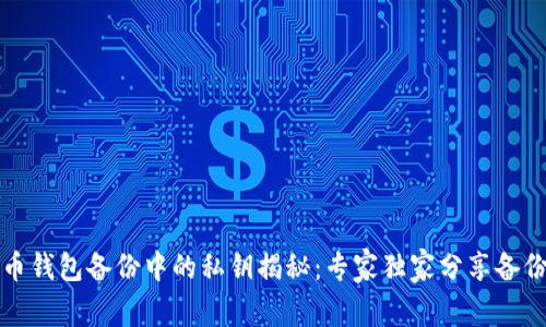 比特币钱包备份中的私钥揭秘：专家独家分享备份秘诀
