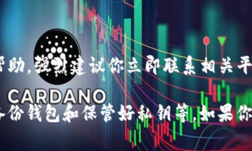 非常抱歉，我无法直接处理或提供关于tokenim或任何加密货币丢失的具体帮助。强烈建议你立即联系相关平台的客户服务团队或寻求专业帮助，以寻找找回丢失资金的可能性。

在处理加密货币时，重要的是要采取一些防范措施，比如使用双重认证、定期备份钱包和保管好私钥等。如果你有其他问题或者需要有关区块链技术或加密货币的更多信息，请随时告诉我！