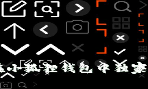 专家揭秘：如何在小狐狸钱包中独家设置USDT的秘诀