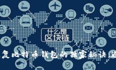 专家分享：恢复比特币钱