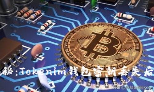 专家独家揭秘：Tokenim钱包密钥丢失后的应对秘诀