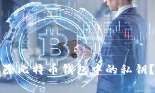 专家揭秘：如何安全移除比特币钱包中的私钥？独家操作秘诀大公开！