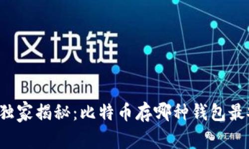 专家独家揭秘：比特币存哪种钱包最安全？