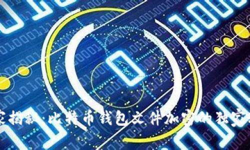 专家揭秘：比特币钱包文件加密的独家秘诀