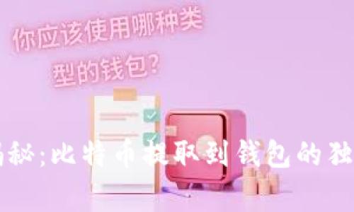 专家揭秘：比特币提取到钱包的独家秘诀