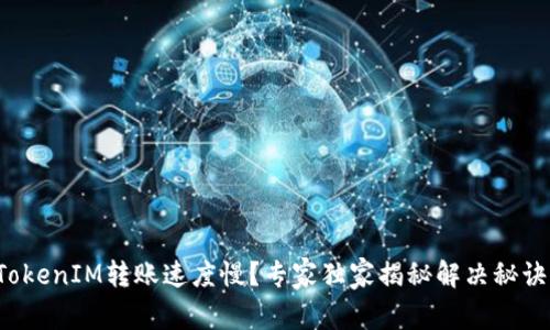 TokenIM转账速度慢？专家独家揭秘解决秘诀！