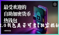 专家揭秘：Tokenim 2.0钱包是