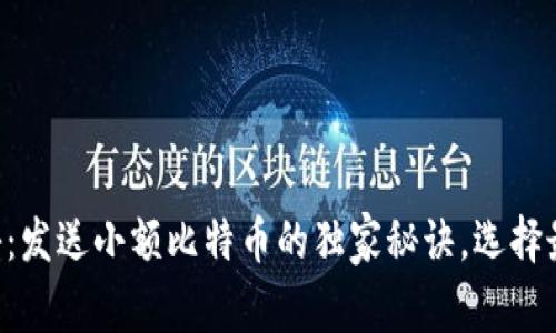 专家揭秘：发送小额比特币的独家秘诀，选择最佳钱包！