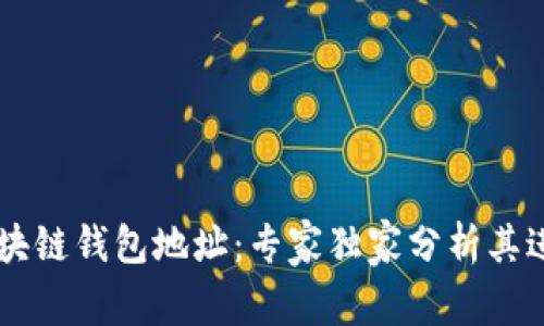 自己写的“揭秘区块链钱包地址：专家独家分析其进制与安全性秘诀”