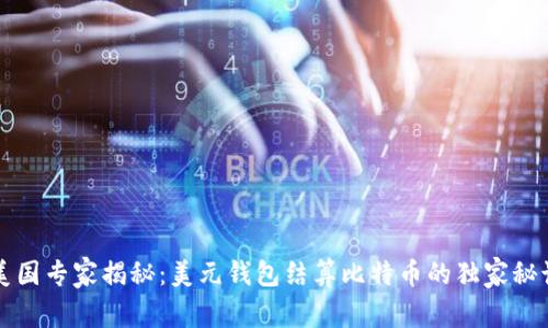 美国专家揭秘：美元钱包结算比特币的独家秘诀