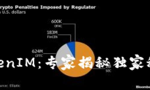 美团区块链TokenIM：专家揭秘独家秘诀，掌握新风口