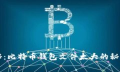 专家独家揭秘：比特币钱