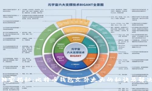 专家独家揭秘：比特币钱包文件太大的秘诀及解决方案