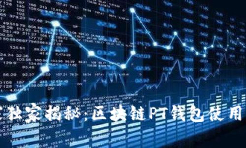 专家独家揭秘：区块链PT钱包使用秘诀