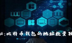 专家揭秘：比特币钱包的