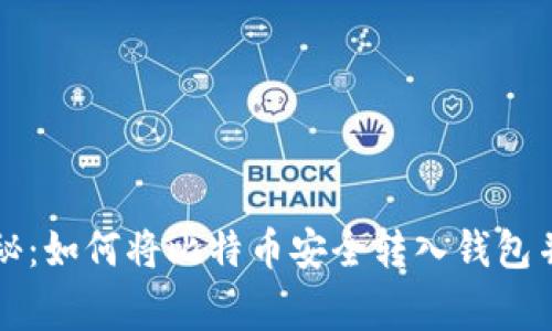 专家独家揭秘：如何将比特币安全转入钱包并出售的秘诀