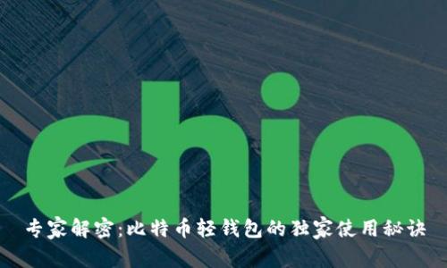 专家解密：比特币轻钱包的独家使用秘诀