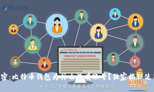 专家解密：比特币钱包为什么没有账号？独家揭秘使用秘诀！