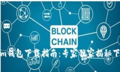 Tokenim钱包下载指南：专家