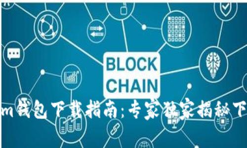 Tokenim钱包下载指南：专家独家揭秘下载秘诀