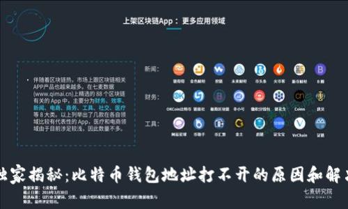 专家独家揭秘：比特币钱包地址打不开的原因和解决秘诀