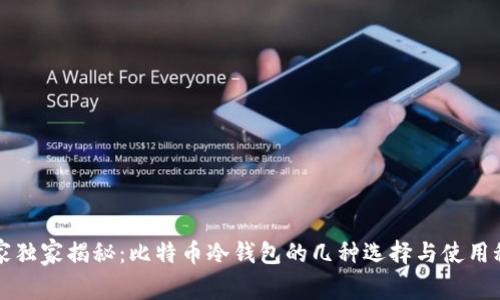 专家独家揭秘：比特币冷钱包的几种选择与使用秘诀