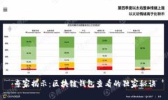 专家揭示：区块链钱包查
