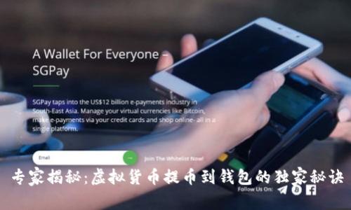 专家揭秘：虚拟货币提币到钱包的独家秘诀