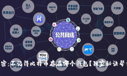 专家解密：不记得比特币存在哪个钱包？独家秘诀帮你找回！