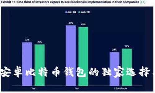 专家揭秘：安卓比特币钱包的独家选择与使用秘诀