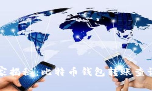 专家独家揭秘：比特币钱包转账查询的秘诀