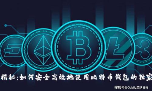 专家揭秘：如何安全高效地使用比特币钱包的独家秘诀
