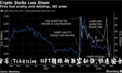 专家分享：Tokenim NFT转账的