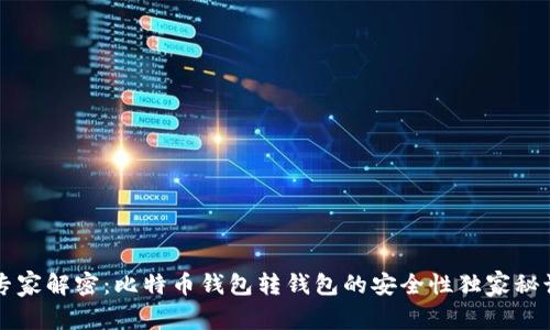 专家解密：比特币钱包转钱包的安全性独家秘诀