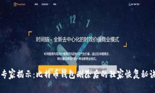 专家揭示：比特币钱包删除后的独家恢复秘诀