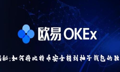 专家揭秘：如何将比特币安全转到柚子钱包的独家秘诀