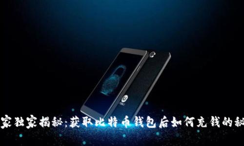 专家独家揭秘：获取比特币钱包后如何充钱的秘诀