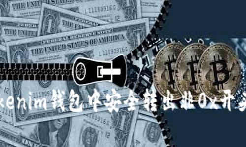 专家揭秘：如何在Tokenim钱包中安全转出非0x开头的币，独家秘诀分享