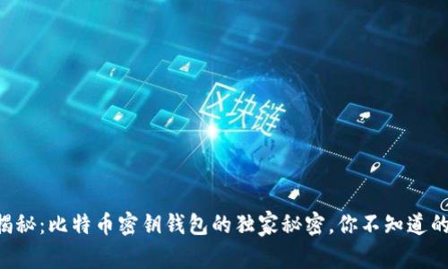 专家揭秘：比特币密钥钱包的独家秘密，你不知道的真相！