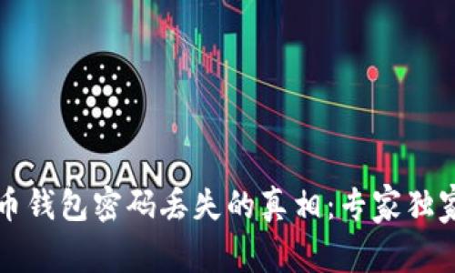揭秘比特币钱包密码丢失的真相：专家独家秘诀分享