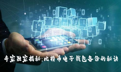 专家独家揭秘：比特币电子钱包备份的秘诀