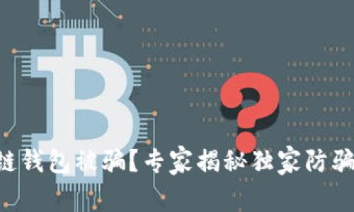 区块链钱包被骗？专家揭秘独家防骗秘诀！